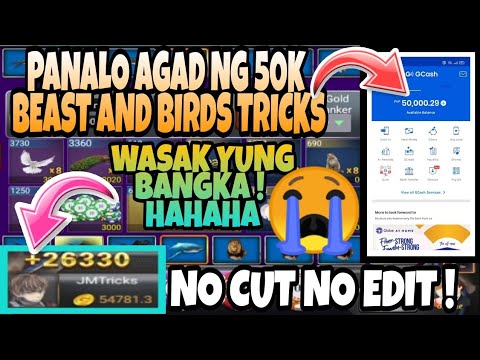 BEAST AND BIRDS PANALO AGAD 50K | THORGAMES Love LATEST UPDATE