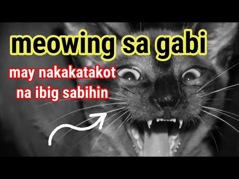 SOBRANG PAG-MEOW NG PUSA MO ITO ANG NAKAKATAKOT NA IBIG SABIHIN