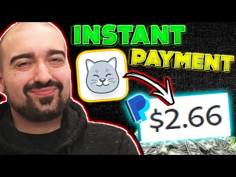 Curious Cat App Review: INSTANT PAYMENT! (But Worth It?) – Make Money Online 2022