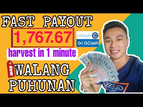 CASH OUT IN 1 MINUTE| HARVEST LANG SA FARM| WALANG PUHUNA