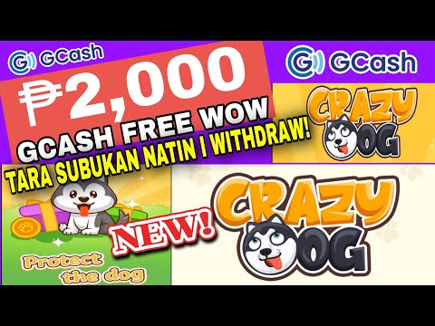 NEW APP 2023 : FREE ₱2,000 GCASH | JUST PROTECT THE DOG FROM BEE | CRAZYDOG APP LEGIT OR SCAM?